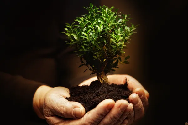 The Power of Compounding: Why Small Financial Decisions Lead to Future Growth